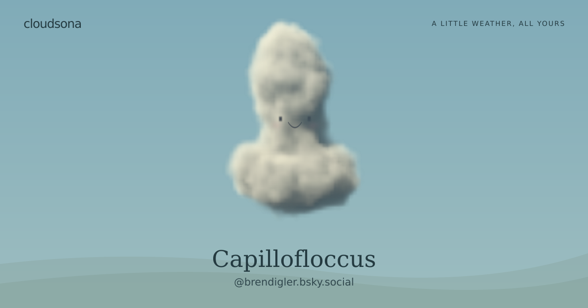 Capillofloccus, @brendigler.bsky.social’s cloudsona
